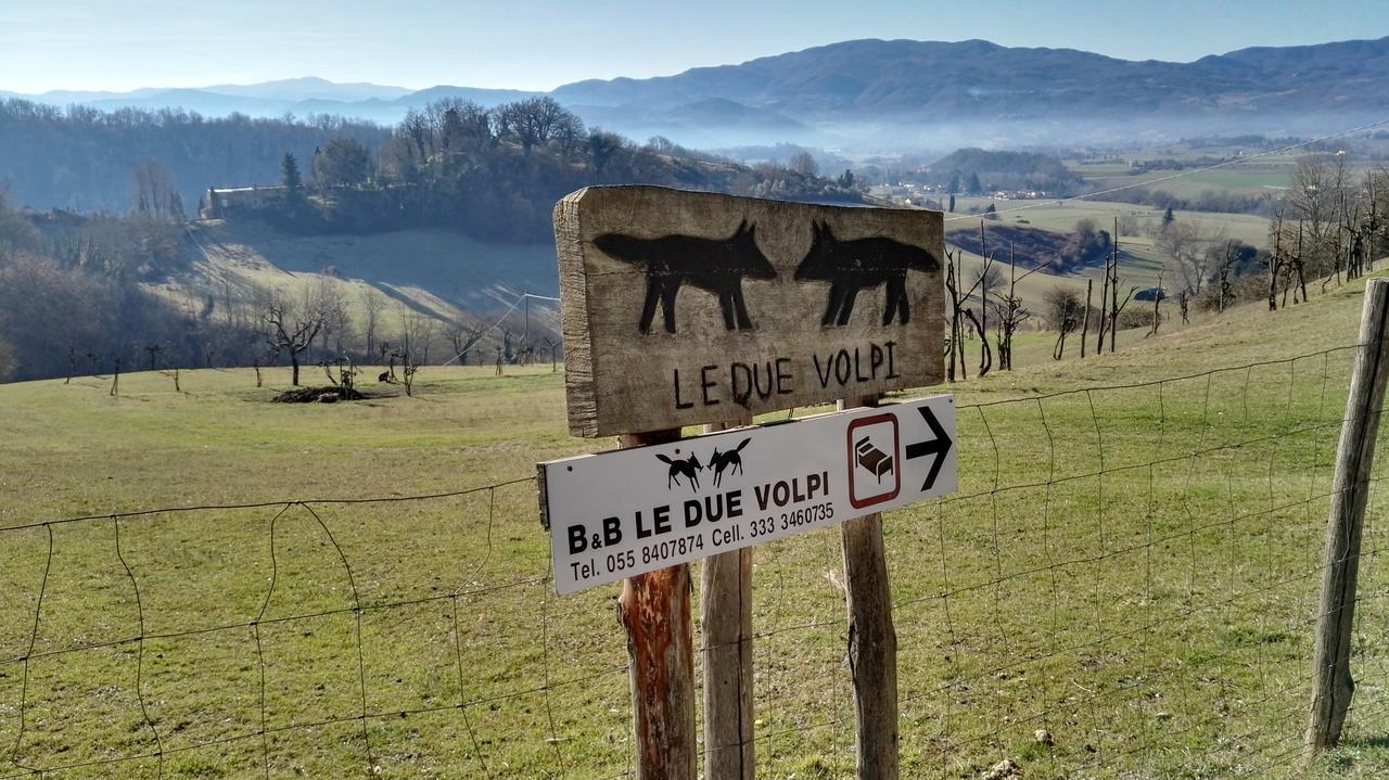 B&B Le Due Volpi Vicchio Eksteriør billede